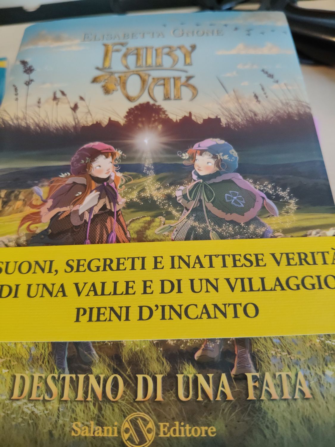 Il destino di una fata
