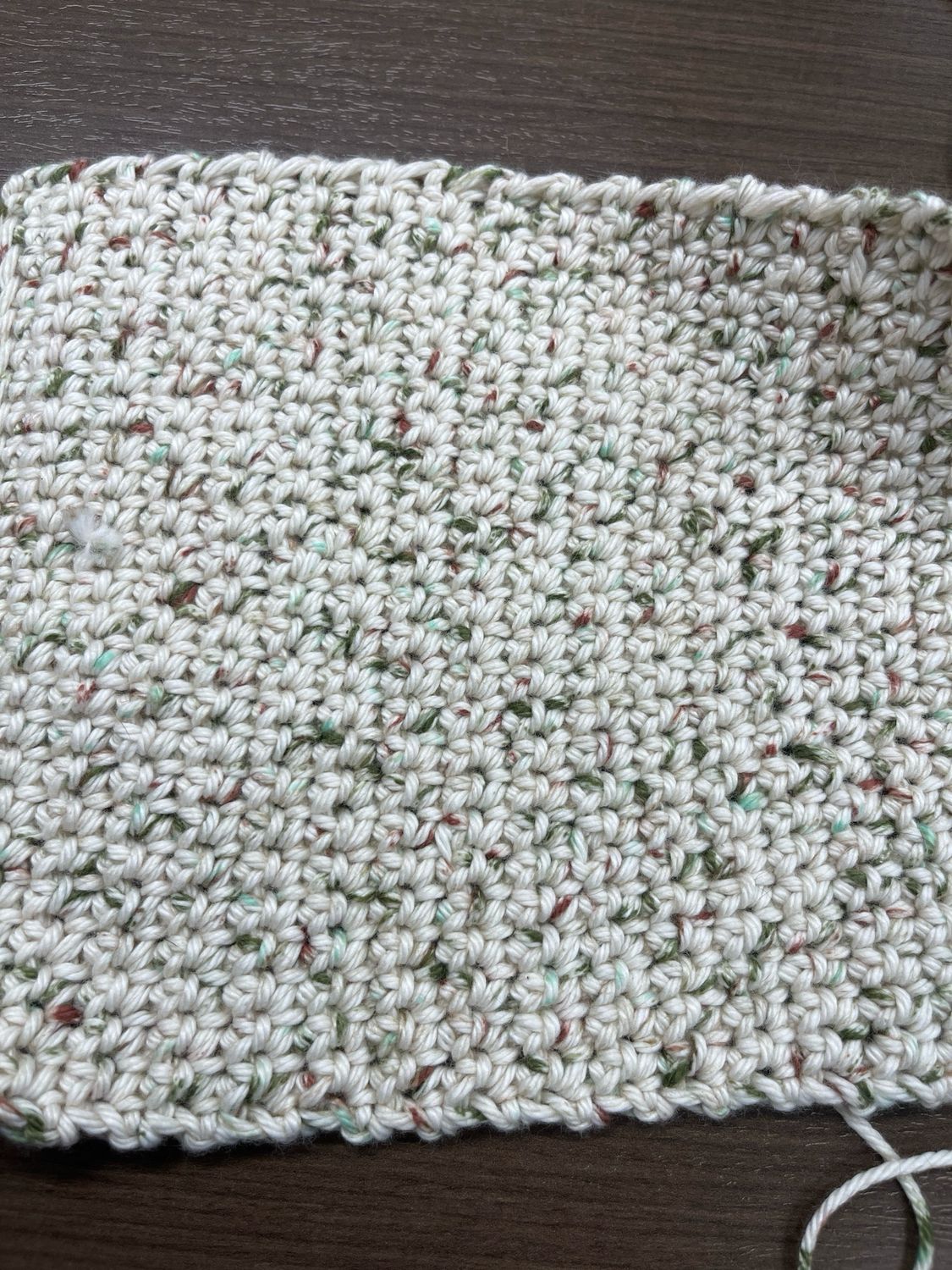 Dishcloth