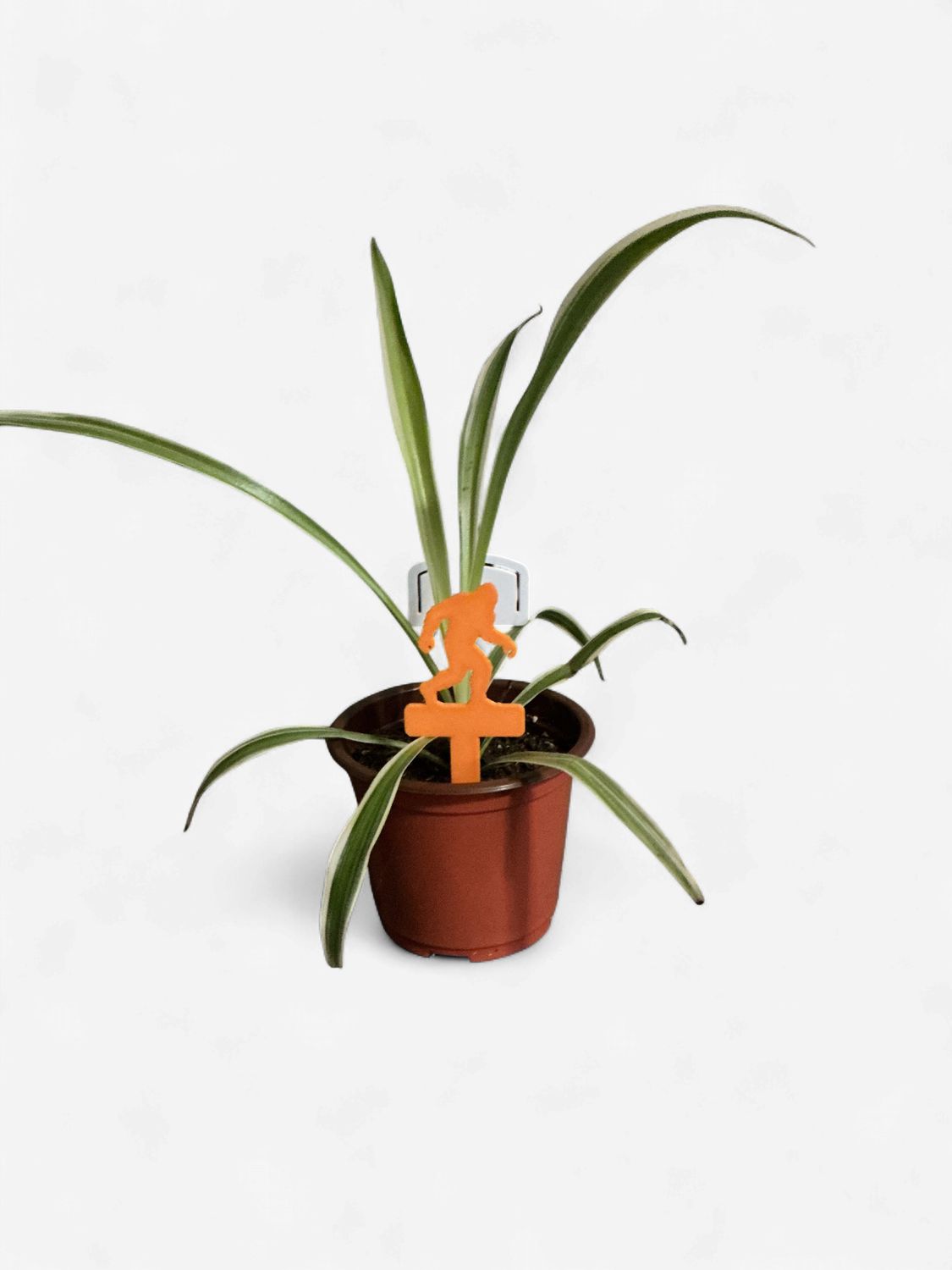 Bigfoot plant decoration - small