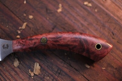 Semper Sharp EDC 2.25" Custom Caper / Stabilized Tasmanian Blackwood / Satin Nitro V