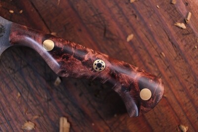 Semper Sharp Honey Badger 3" EDC Fixed Blade / Maple Burl / Stonewashed Nitro V