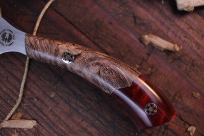 Semper Sharp EDC 2.25" Custom Caper / Stabilized Maple Burl &amp; Merlot Epoxy / Satin CPM-154