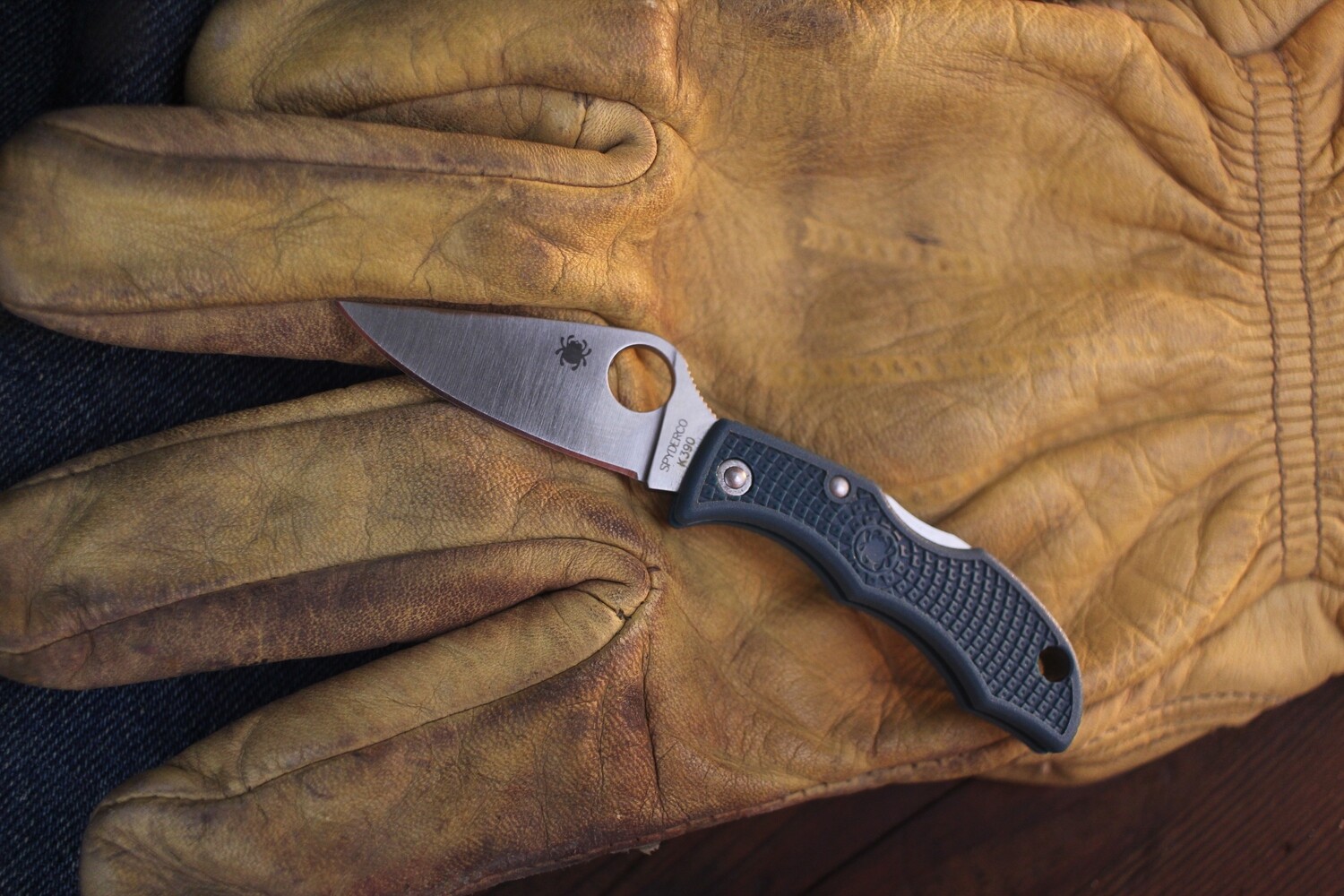 Spyderco Ladybug 1.94&quot; Lockback Knife / Blue FRN / Satin K390