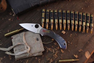 Spyderco Dragonfly 2.3" Lockback Folder / Dragonfly Engraved Stainless Steel / Satin VG-10 ( Pre Owned )