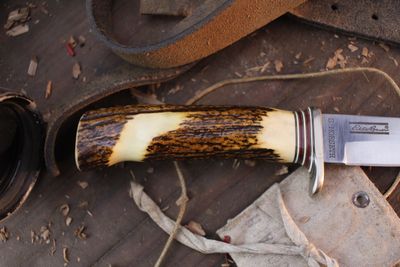 Morseth Knives Eddie Bauer Edition Model 8-3 5" Fixed Blade / Stag / Satin Laminated Steel ( Pre Owned )