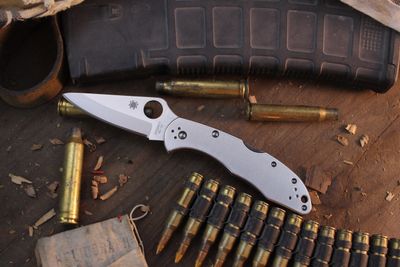 Spyderco Delica 4 2.88" Lockback Folder / Stainless Steel / Satin VG-10