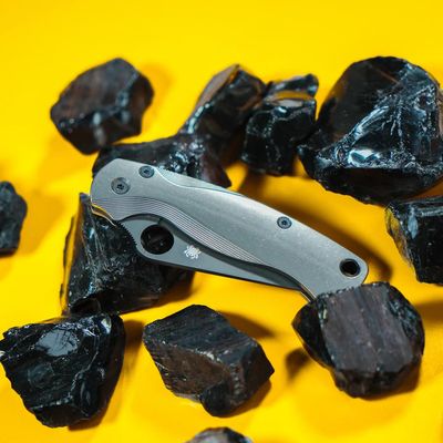 Flytanium Spyderco Paramilitary 2 Lotus Stonewashed Titanium Scales
