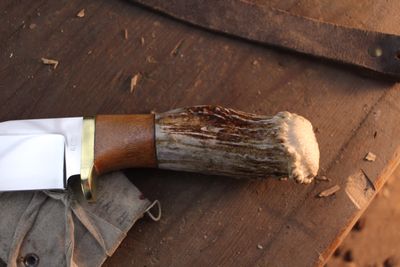 David Reed Groß Jager Messer 4.25" Fixed Blade / Elk Antler &amp; Maple With Brass Single guard / Polished Clip Point 440C