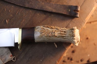 David Reed Groß Jager Messer 4.5" Fixed Blade / Elk Antler &amp; Walnut With Brass Single guard / Polished Bowie 440C