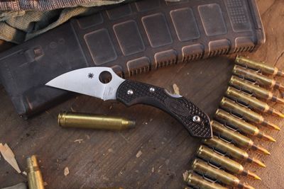 Spyderco Dragonfly 2 2.28" Lockback Folder / Black FRN / Satin VG-10 ( Pre Owned )