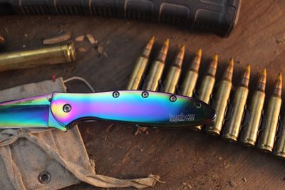 Kershaw Leek 3" Assisted Framlock Flipper / Rainbow Steel / Rainbow 14C28N Sandvik ( Pre Owned )