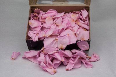 Preserved Rose Petals Pink. 3.25-3.40 liter per box