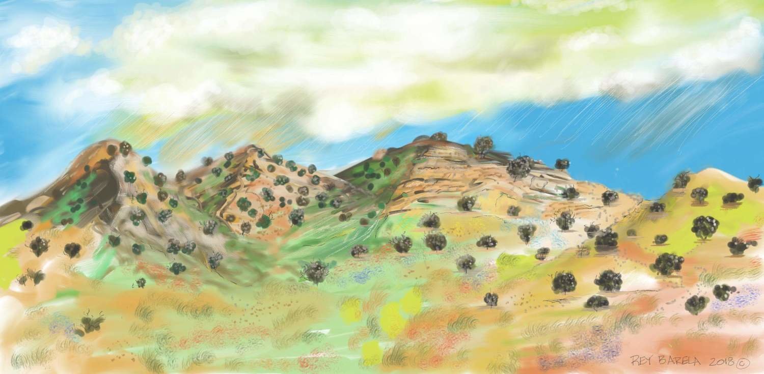New Mexico Hills