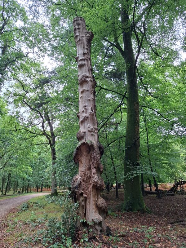 8 Week Course Thursdays 10.am