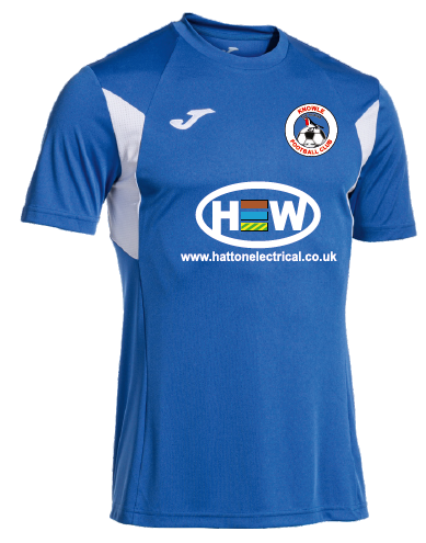 Knowle Away Shirt - Winner III Short Sleeve