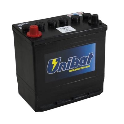 Batteria Unibat 45Ah  con poli grandi rialzati