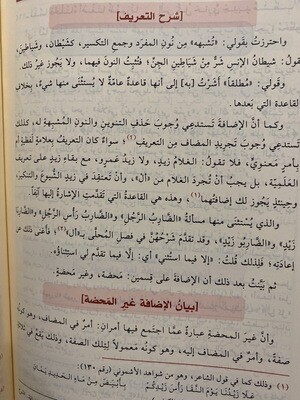 شرح شذور الذهب