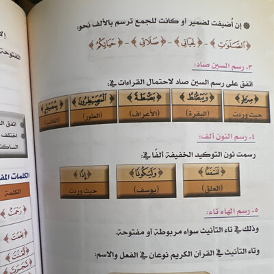 السبط في الرسم والضبط