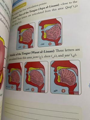 At-Tayseer Tajweed Rules Of Quran