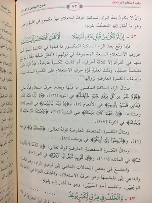 الشرح الوجيز على المقدمة الجزرية