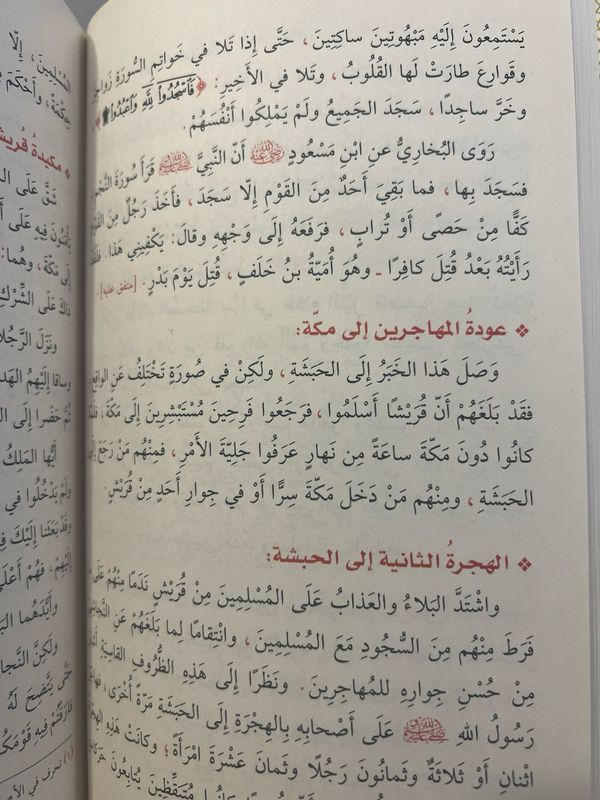 روضة الأنوار في سيرة النبي المختار ﷺ