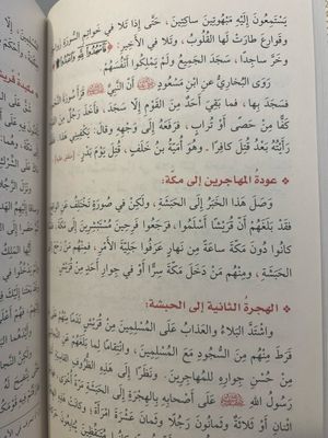 روضة الأنوار في سيرة النبي المختار ﷺ
