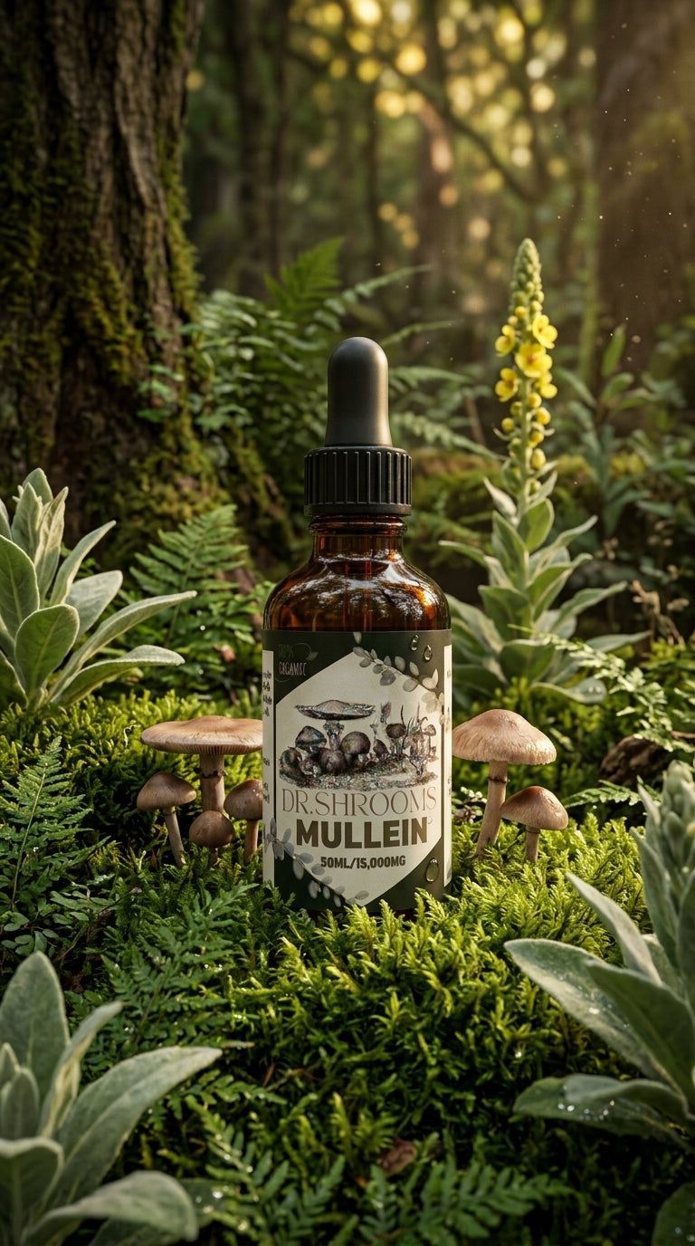 Mullein