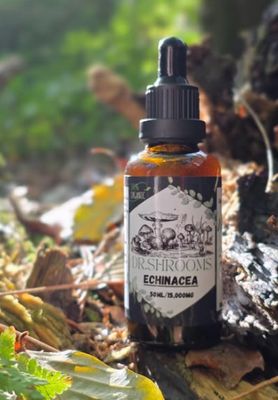 Echinacea