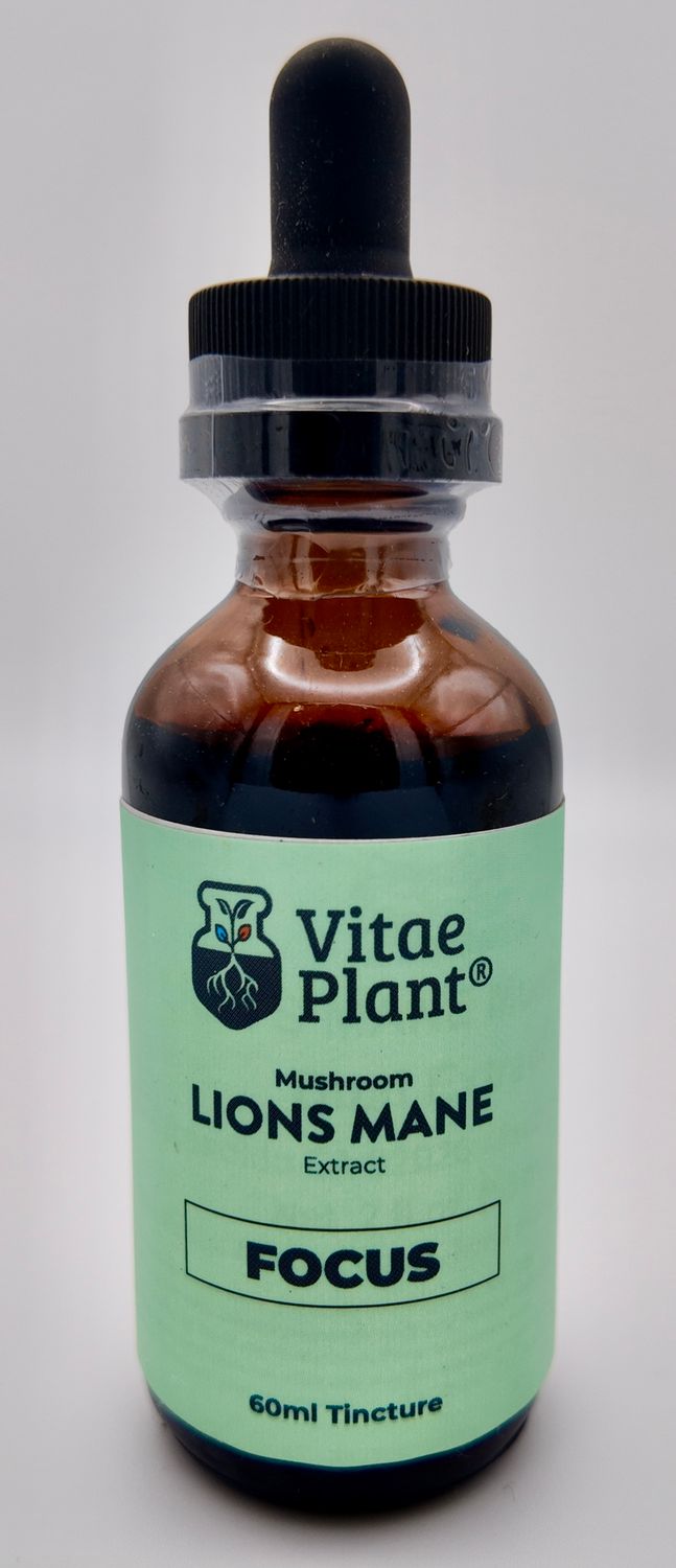Vitae Plant Lion&#39;s Mane Mushroom Tincture 60ml (2oz)