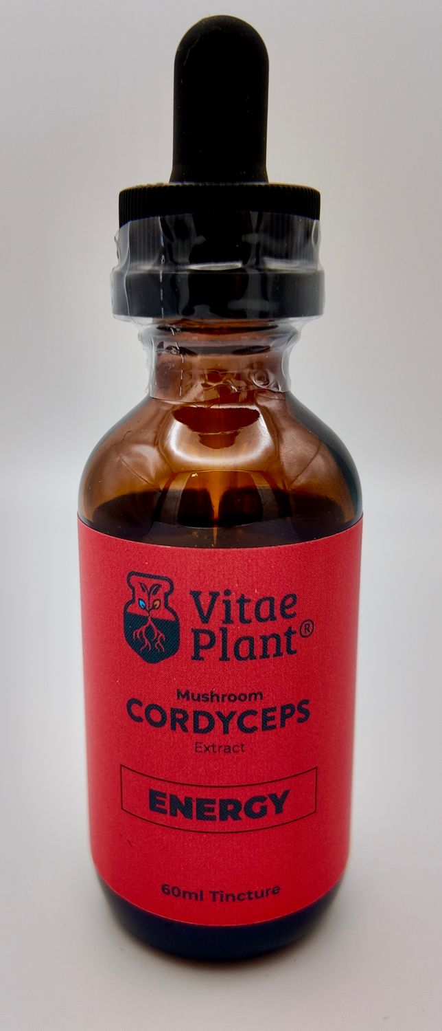 Vitae Plant Cordyceps Mushroom Tincture 60ml (2oz)
