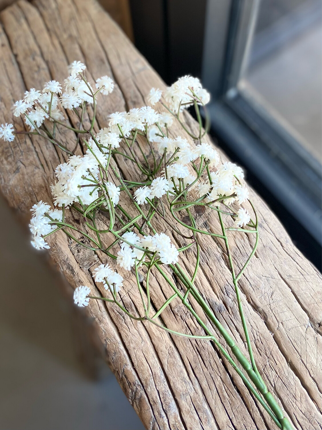 Gypsophila crème