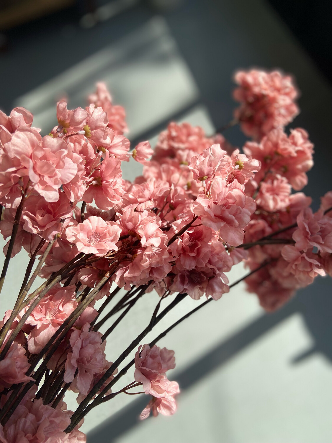 Prunus malaga old pink 126 cm