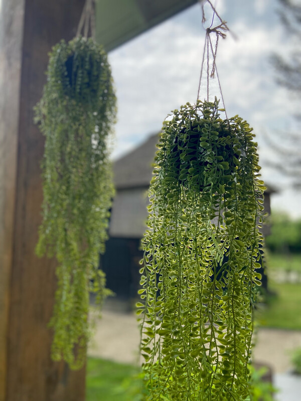 Kunstgroen hanger zwarte bol