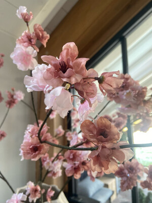 Prunus malaga old pink/pink 126 cm