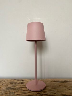 Led lamp pink