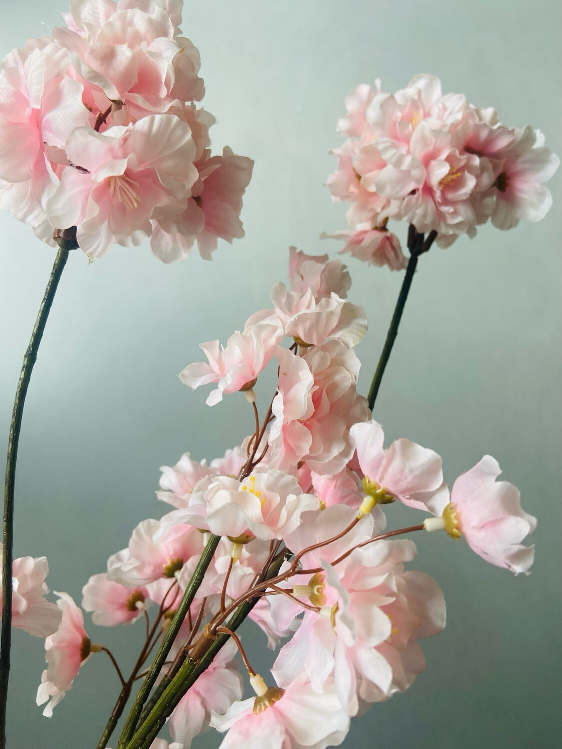 Prunus licht roze 84 cm