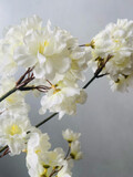 Prunus wit 84 cm