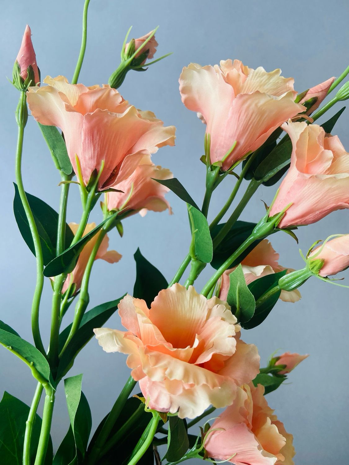 Lisianthus kunsttak Peach