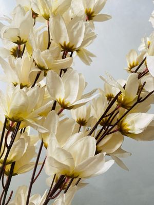 Flower spray