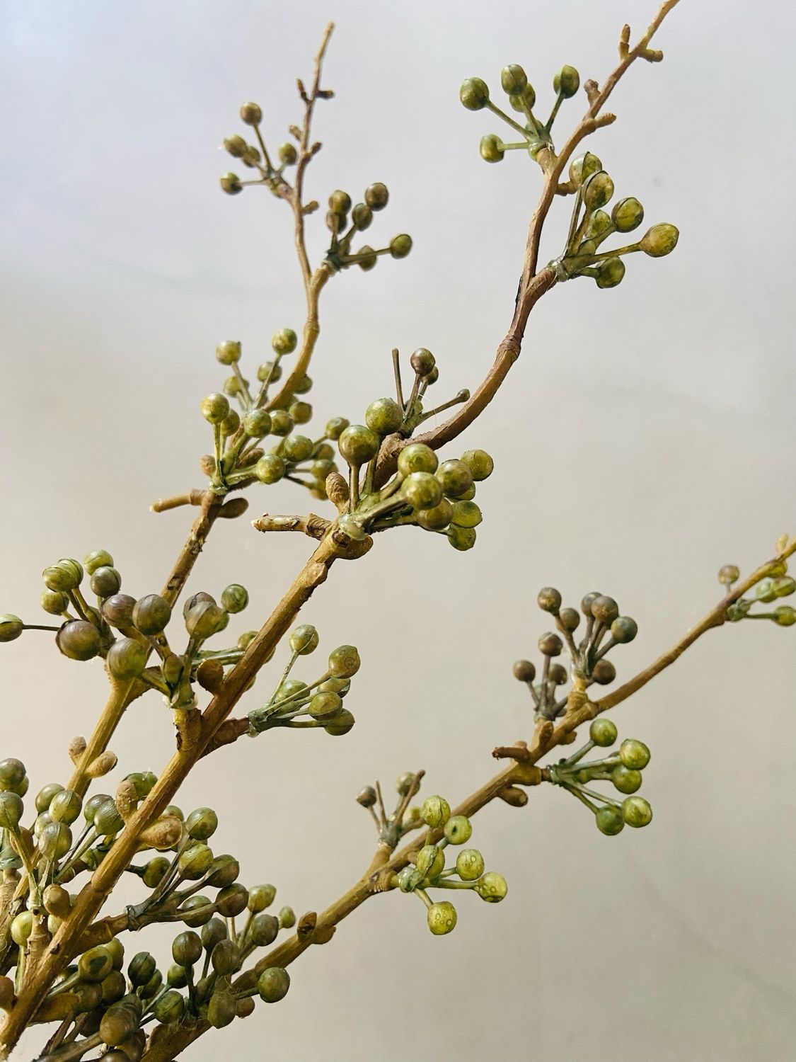 Groene bessentakjes / 3