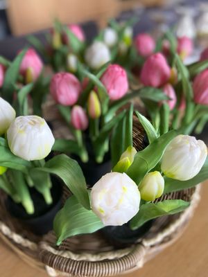 Pioen tulp roze potje