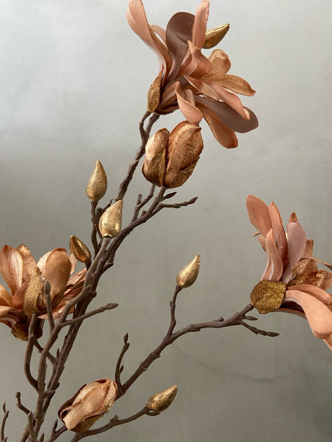 Magnolia licht bruin