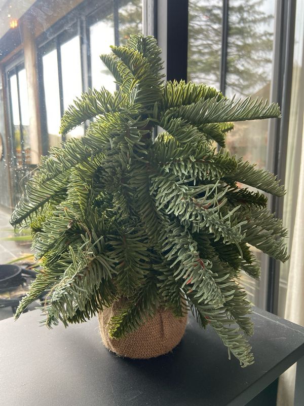 Kunst nobilis jute 30 cm