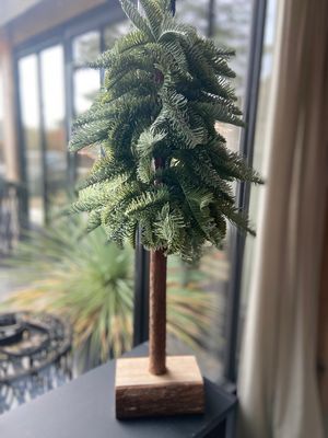 Kunst nobilis 30 cm op stam