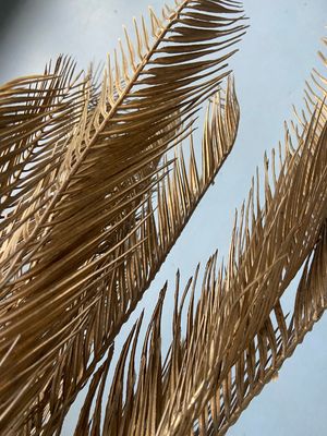 Gouden palmtak