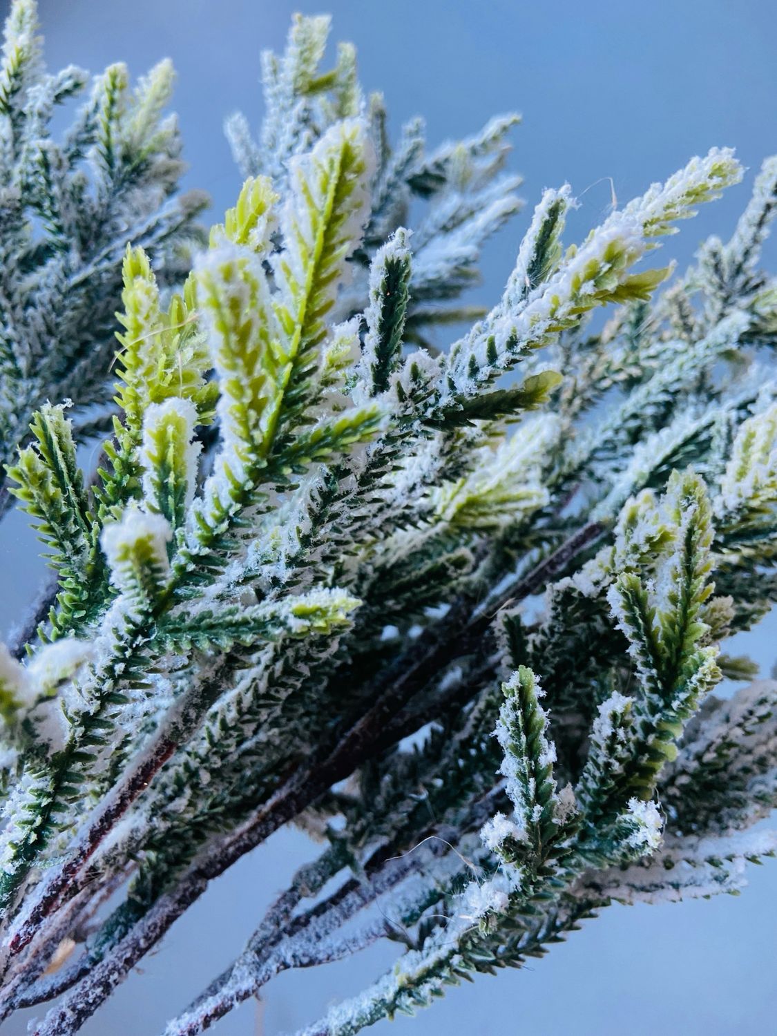 Kersttak sneeuw