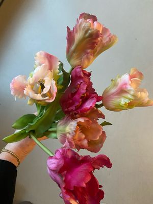 Tulpboeket fuchsia