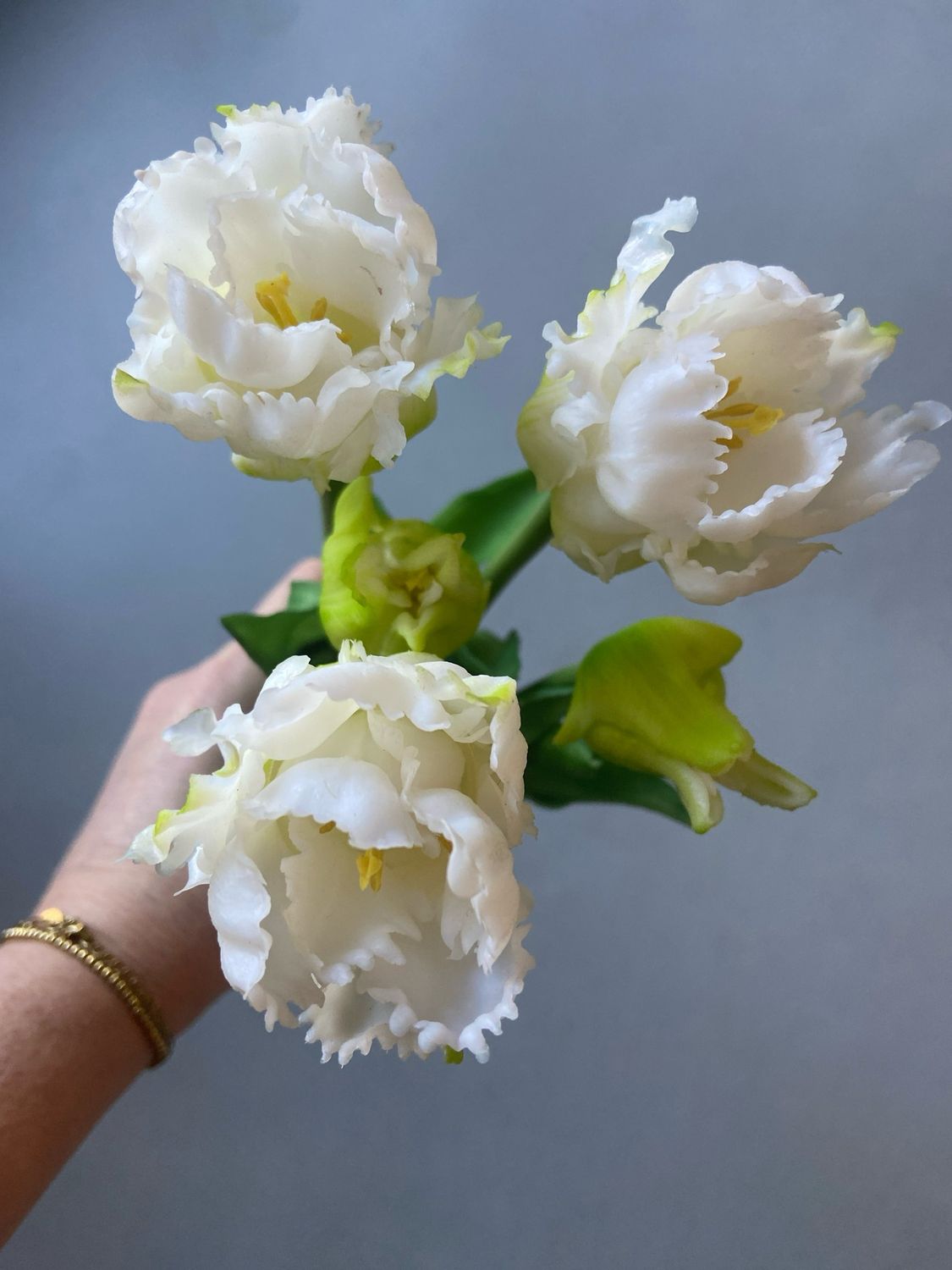Tulpenboeket papegaai wit 41 cm