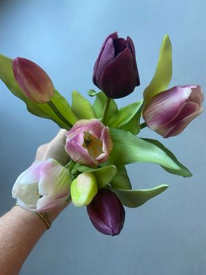 Tulpenboeket mix paars 30 cm