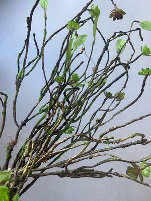 Twijg takje met blad 79 cm